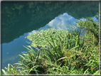 foto Lago di Levico
